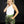 Load image into Gallery viewer, Joggers - Camo
