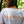 Load image into Gallery viewer, Pennant Jersey Orange
