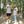 Load image into Gallery viewer, NANO Roy G. Biv Jersey
